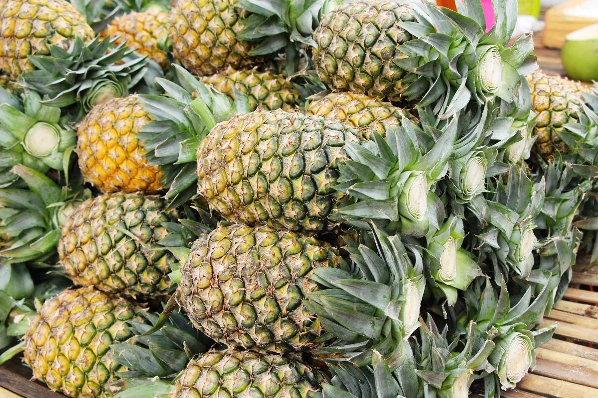 Kako posaditi ananas | Lepa i srećna