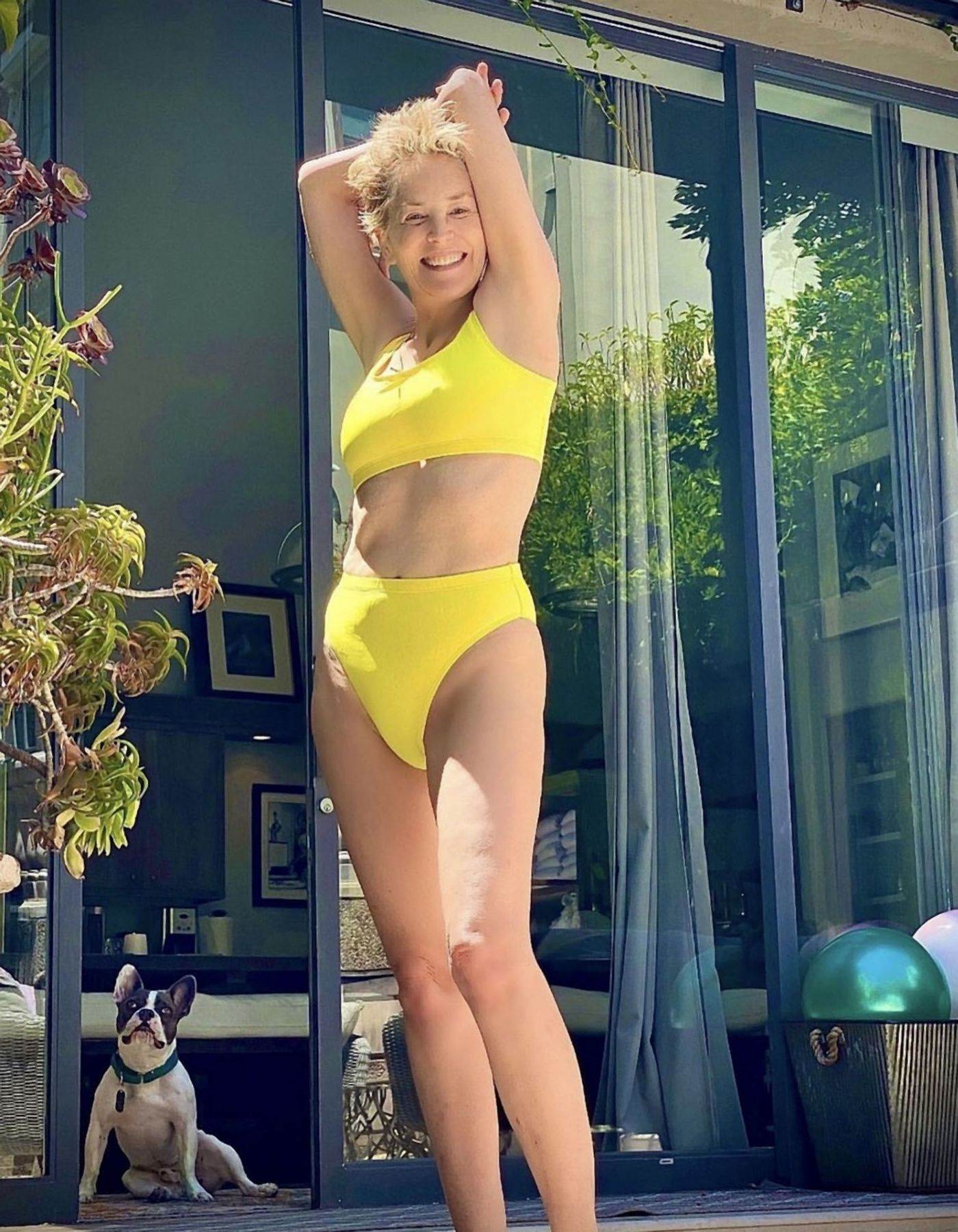 moderni kupaci kostimi bikini