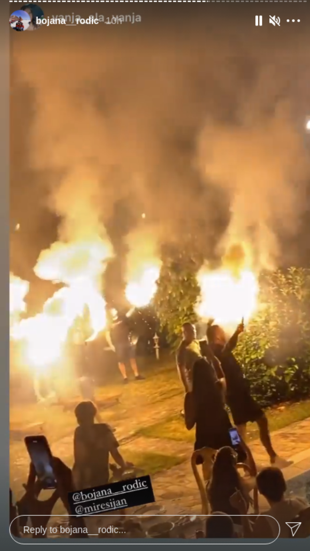 Veljko Ražnatović otišao s Šijanove proslave nakon pola sata