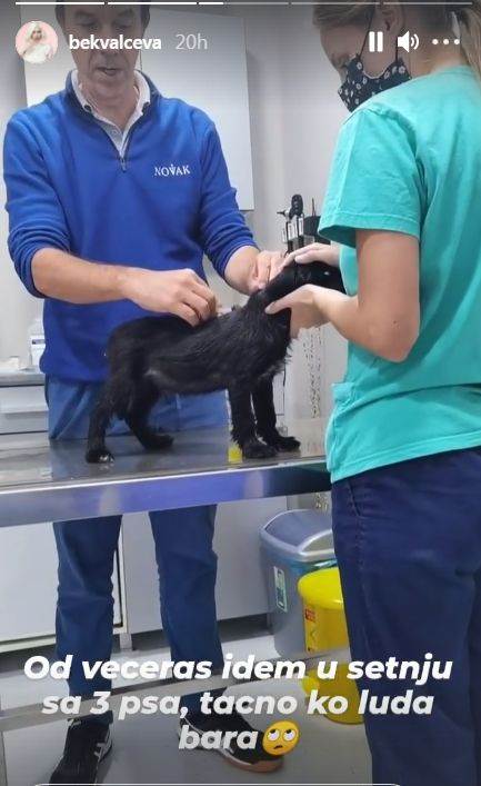 natasa bekvalac psi