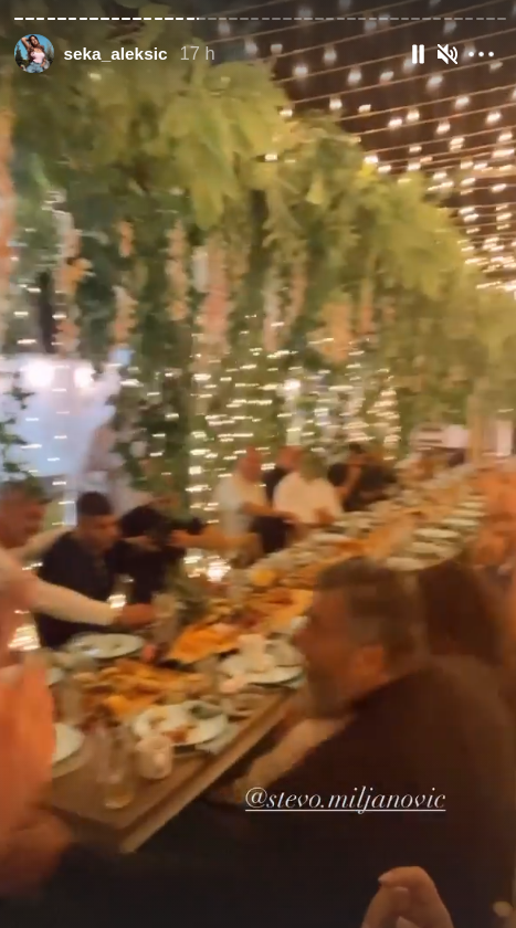 seka aleksic veljko 6