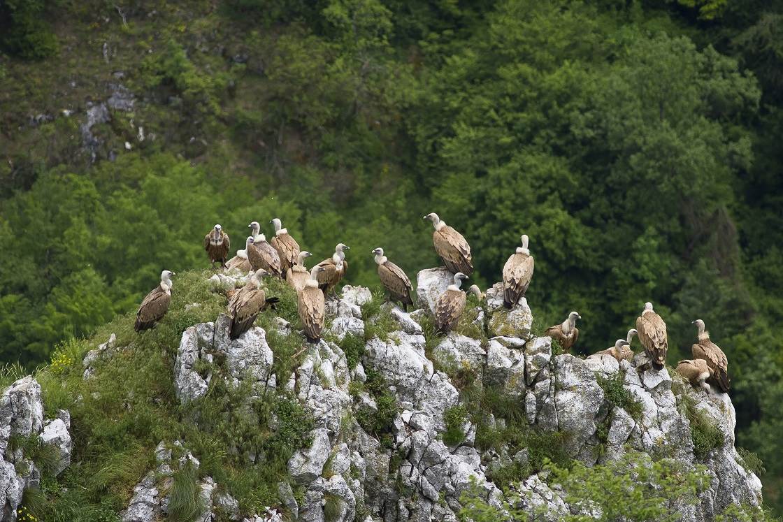 Supovi_Levente Sekereš