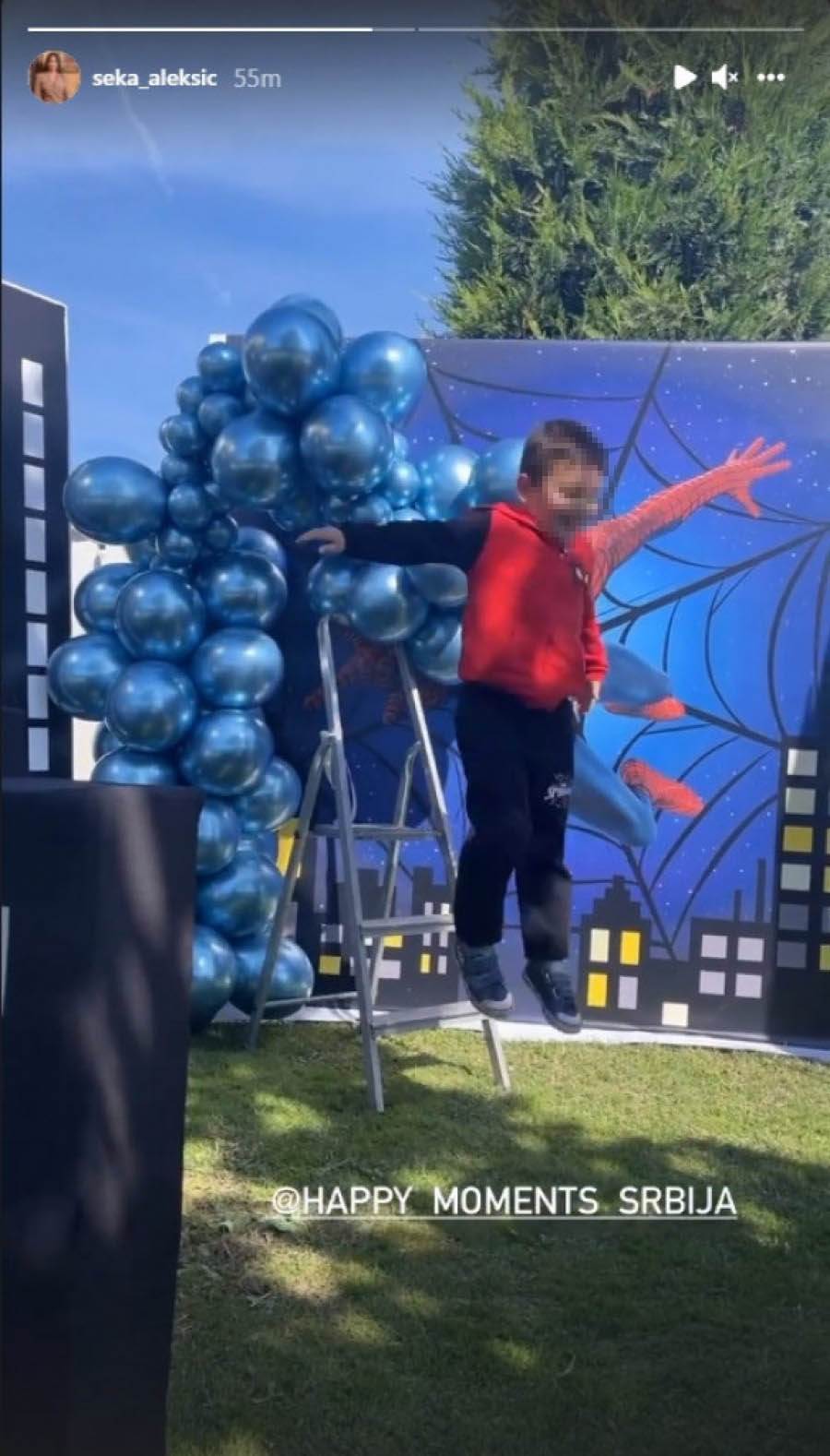 seka aleksic sin -2 (1)