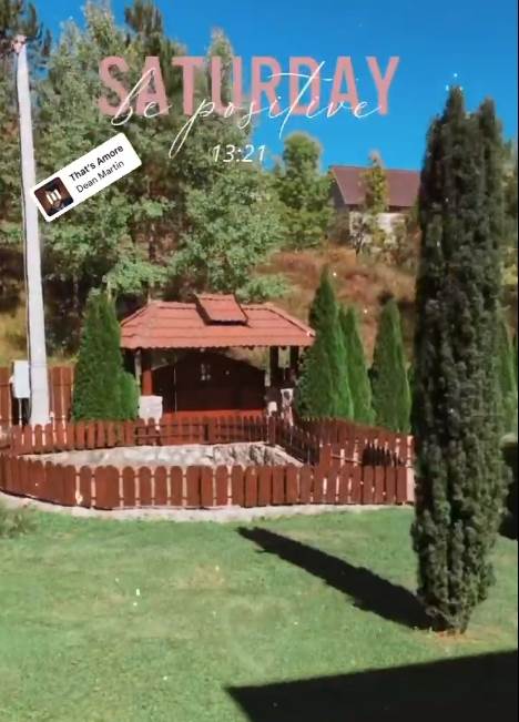 bogdan srejovic zlatibor 7