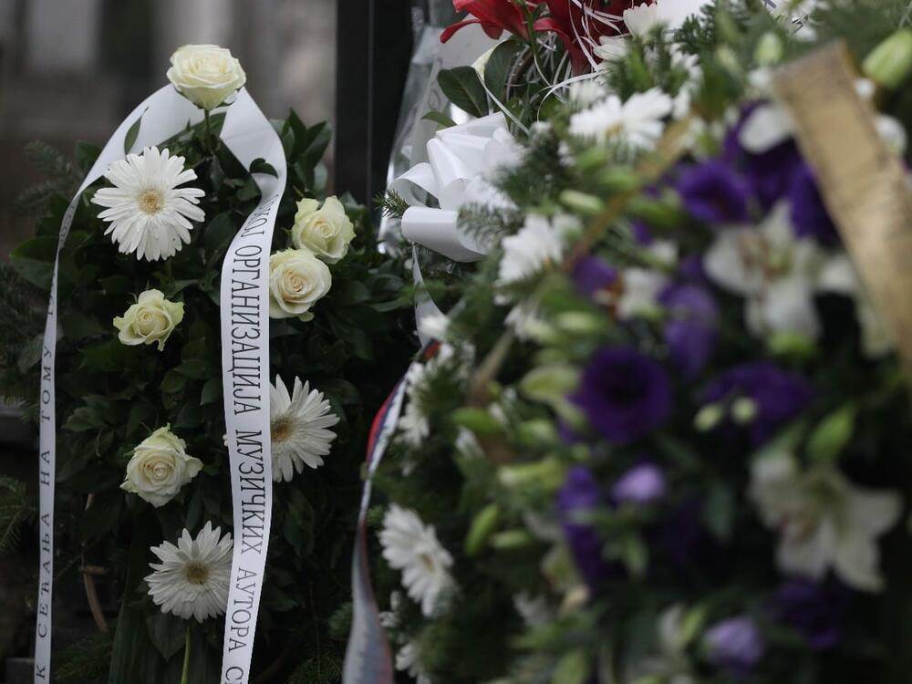 toma zdravkovic pomen 4