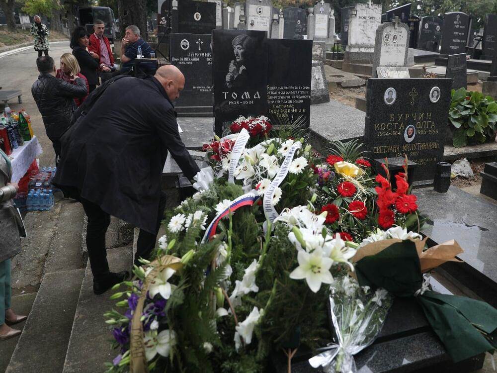 toma zdravkovic pomen