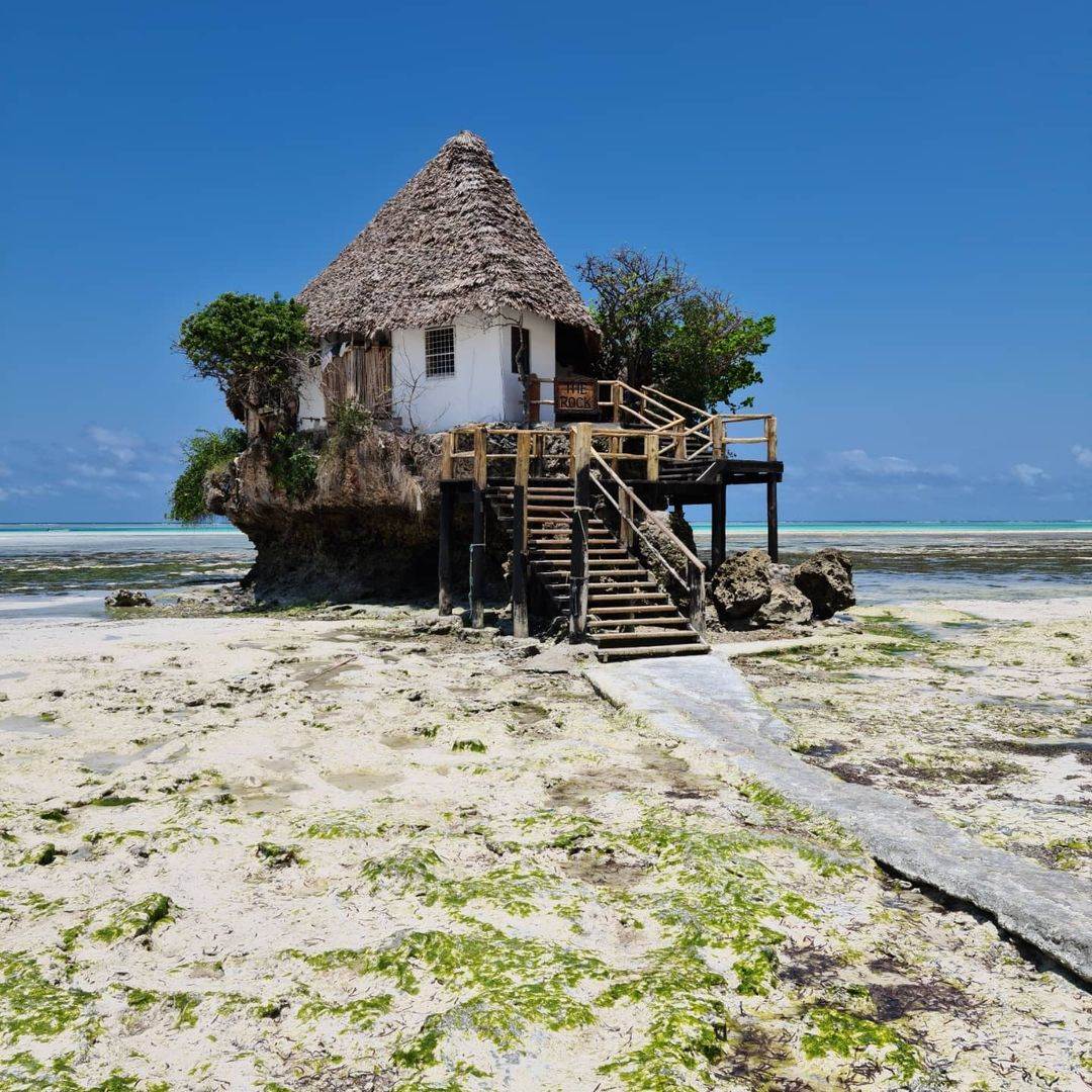 jelena bacic alimpic 5 zanzibar
