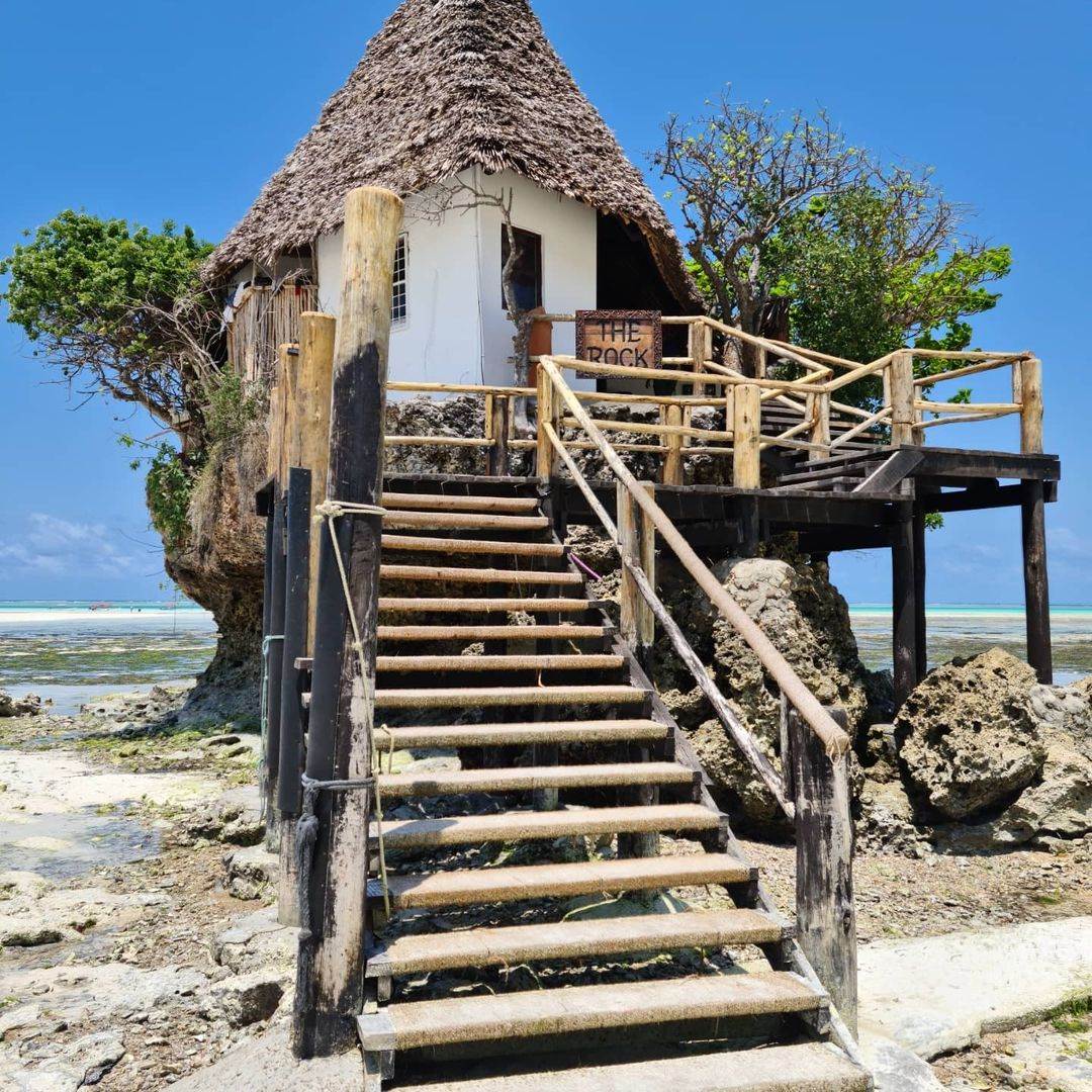 jelena bacic alimpic 4 zanzibar