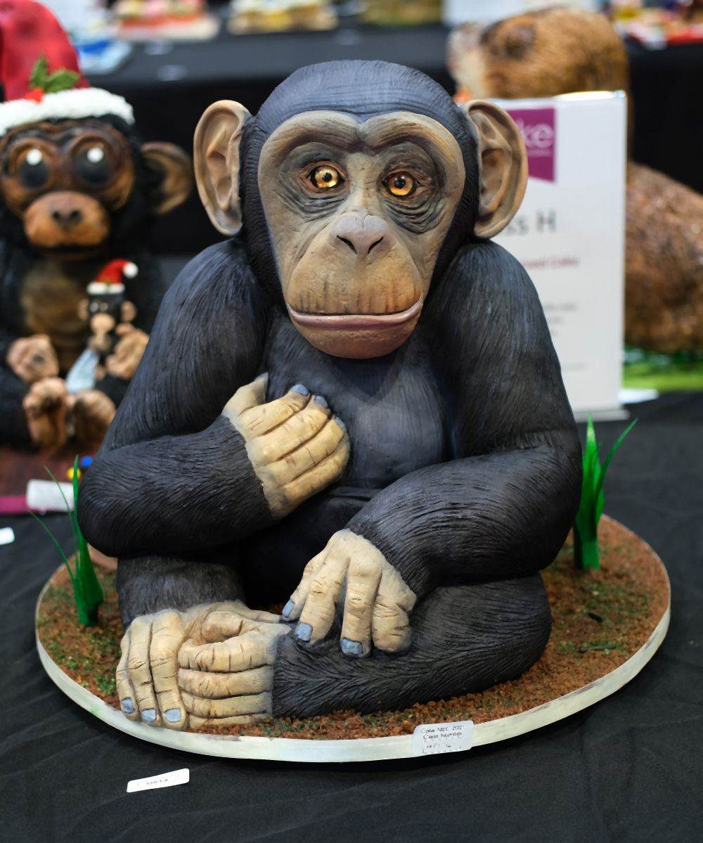 torta 0641714645.jpg