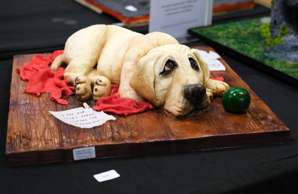 torta 0641715038.jpg