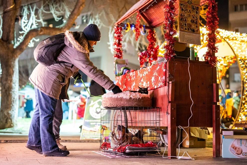 starogradska-zima 002.jpg