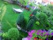 Najlepša bašta Srbije: negovano dvorište u Kotežu (VIDEO)