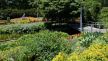 Najlepši vrtovi sveta: park Spektakl u Brizbejnu