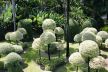 Najlepši vrtovi sveta: Nong Nuč je bašta kojom se ponosi Tajland (FOTO)