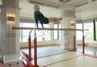 Najstarija gimnastičarka (90) osvojila sva srca: upoznajte Džoanu Kuas i pogledajte kako vežba na razboju! (FOTO + VIDEO)