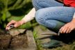 Veliko prolećno spremanje za vašu baštu: pregled baštenskih radova od marta do maja