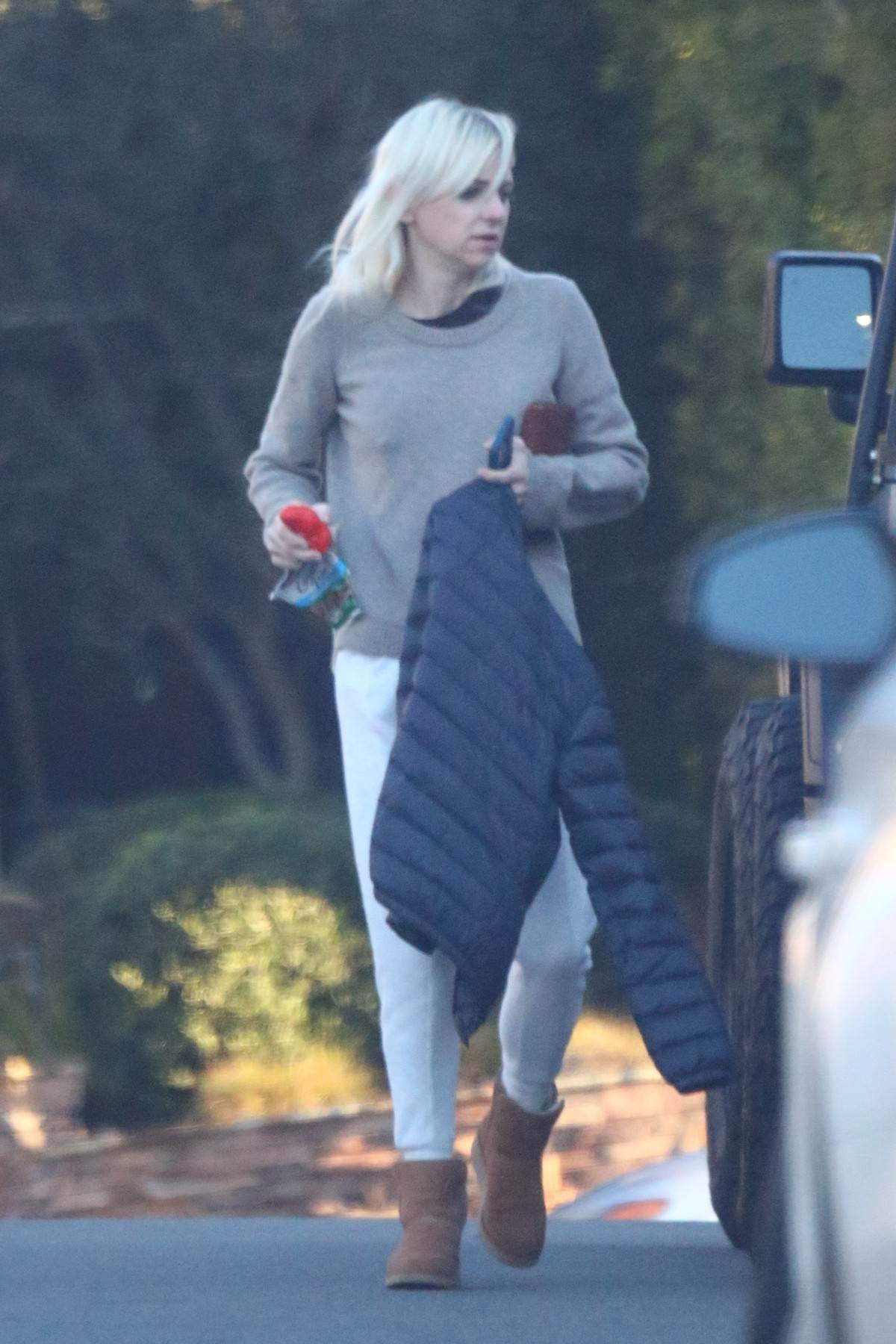 Ana Faris neprepoznatljiva