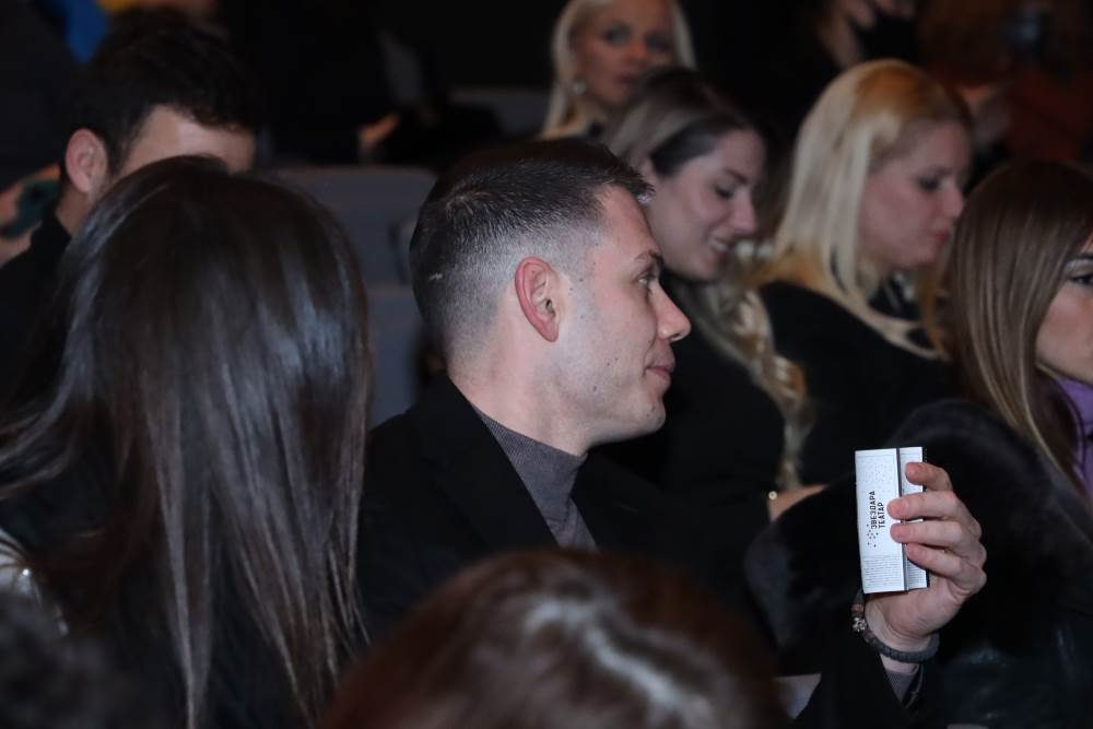 Drugarica Bogdana Srejovića