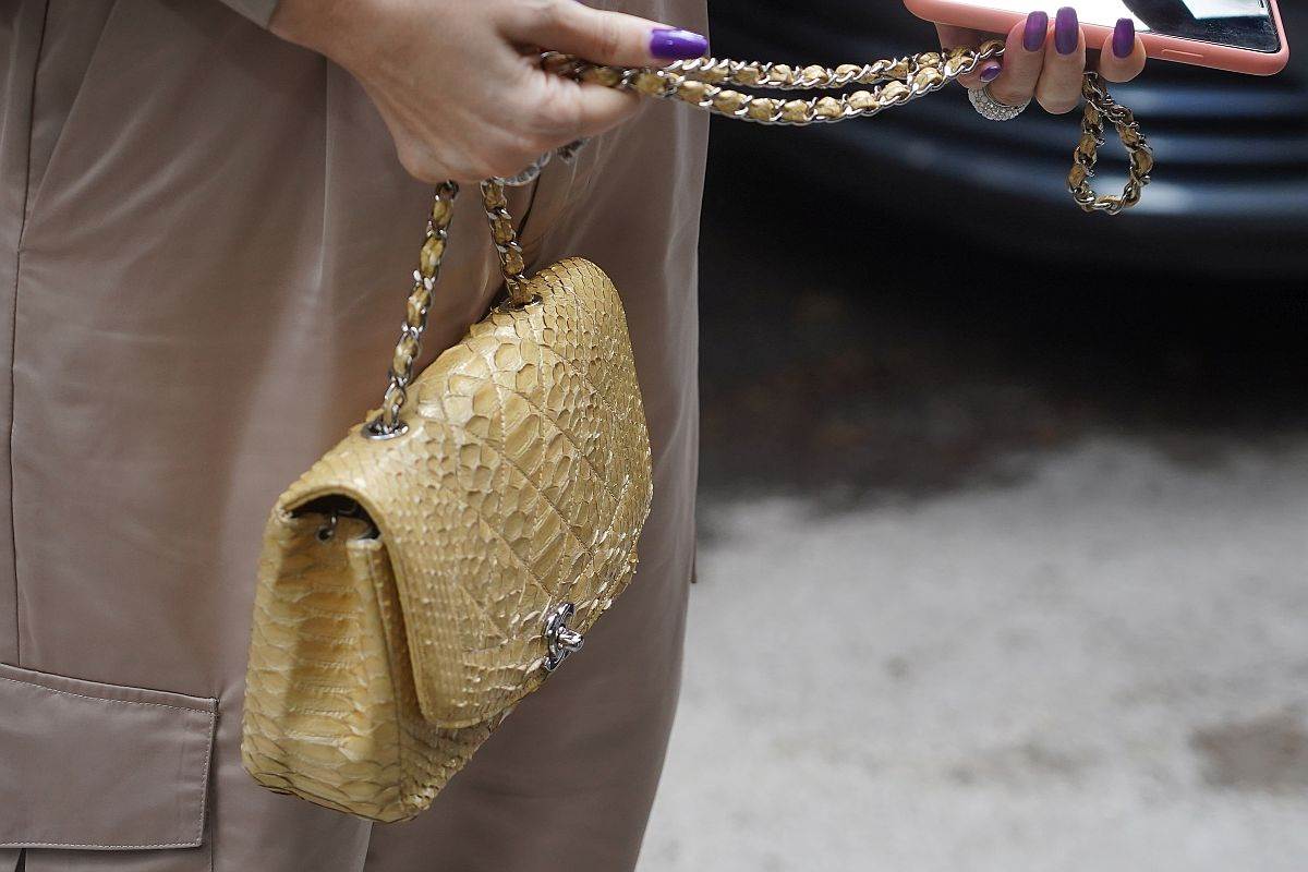 ceca raznatovic tasna.jpg