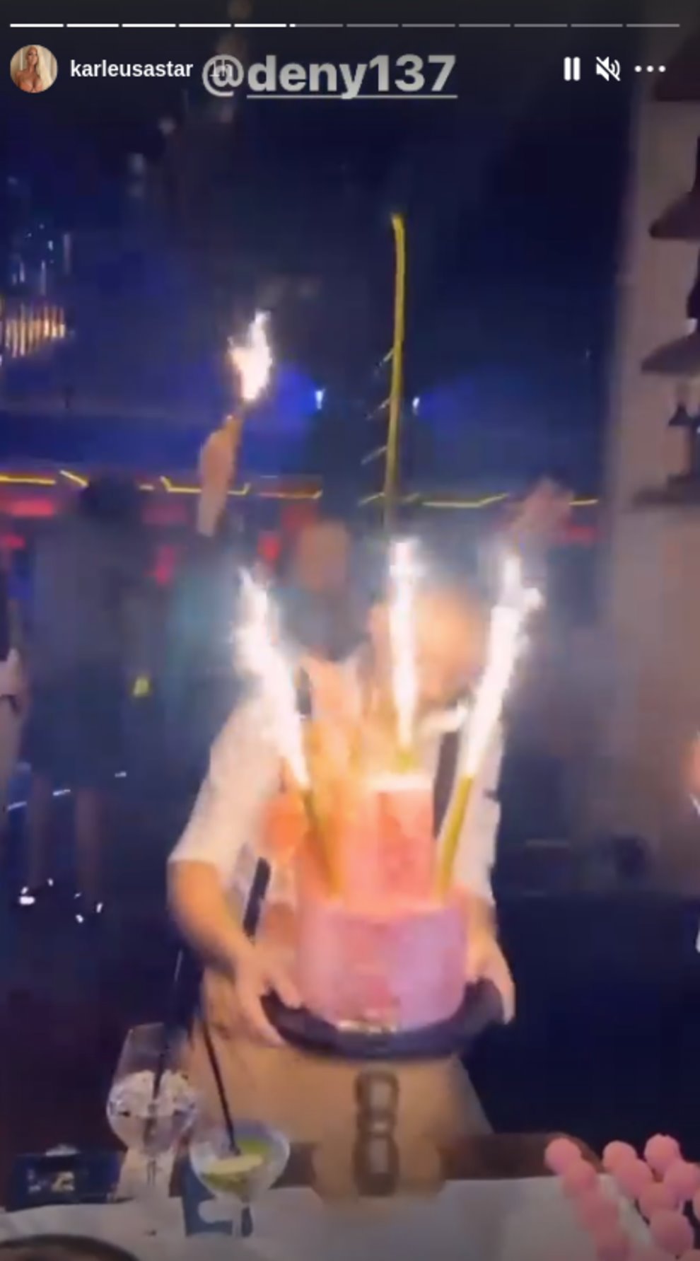 Tetka Jelene Karleuše proslavila rođendan