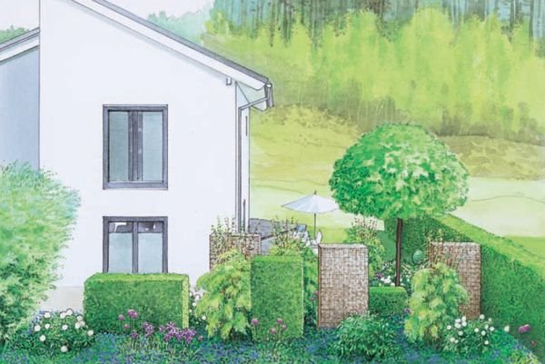 Klupa u carstvu bujnog rastinja