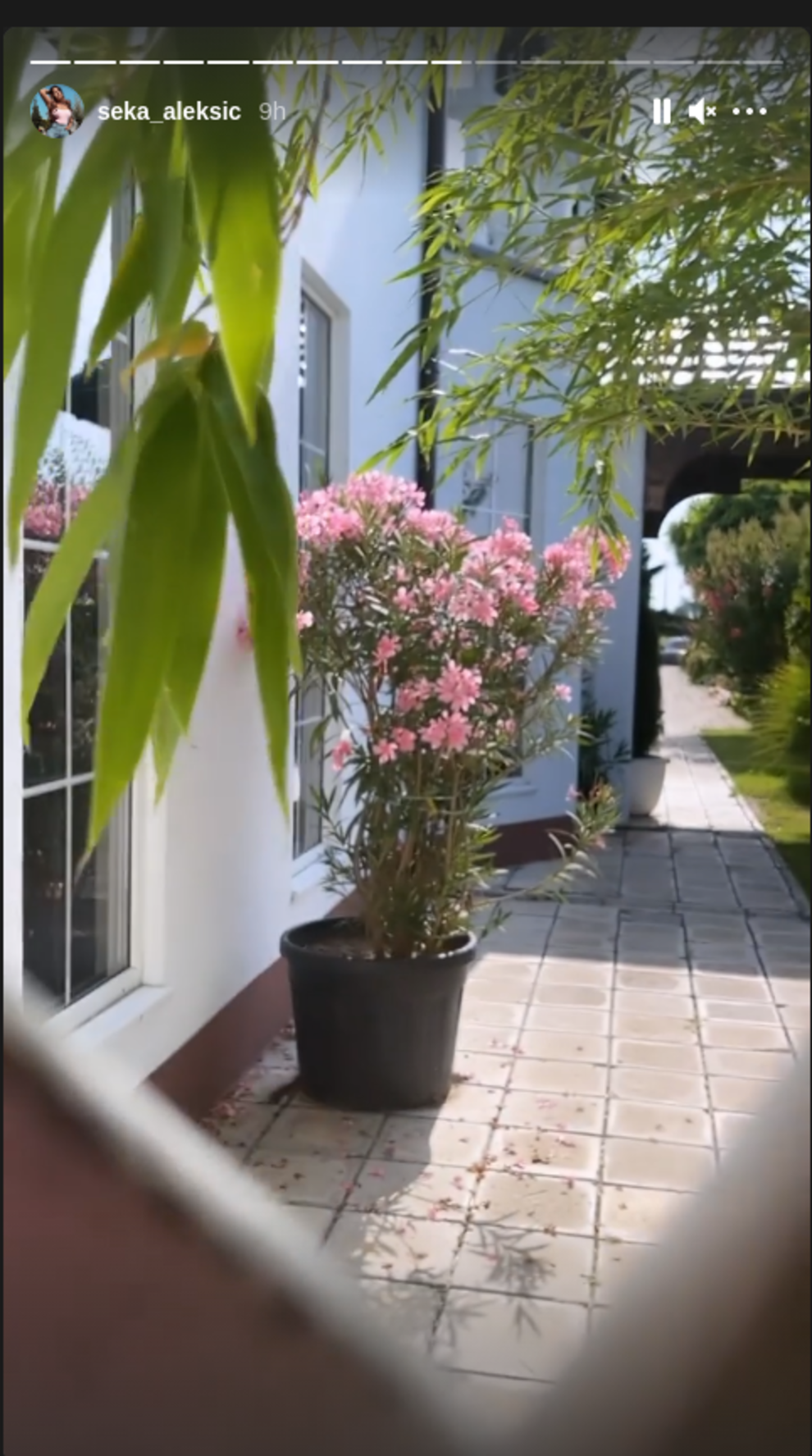 Seka Aleksić pokazala dom u Staroj Pazovi