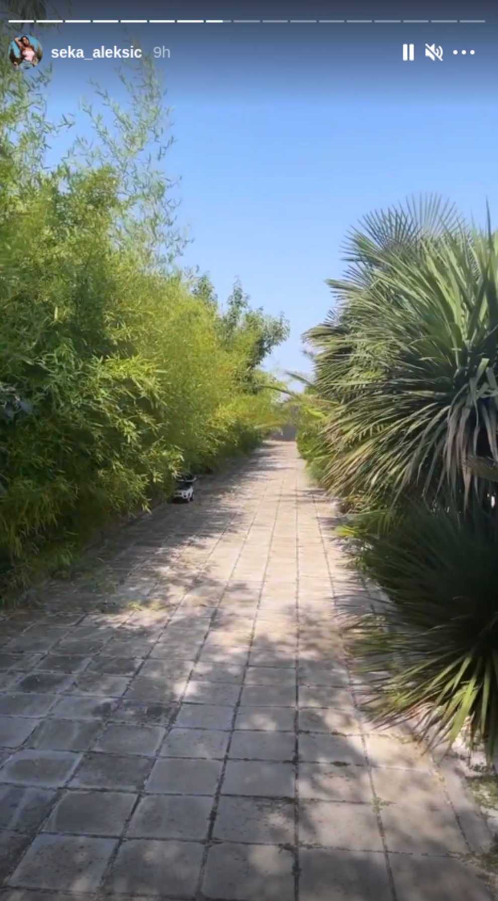 Seka Aleksić pokazala dom u Staroj Pazovi