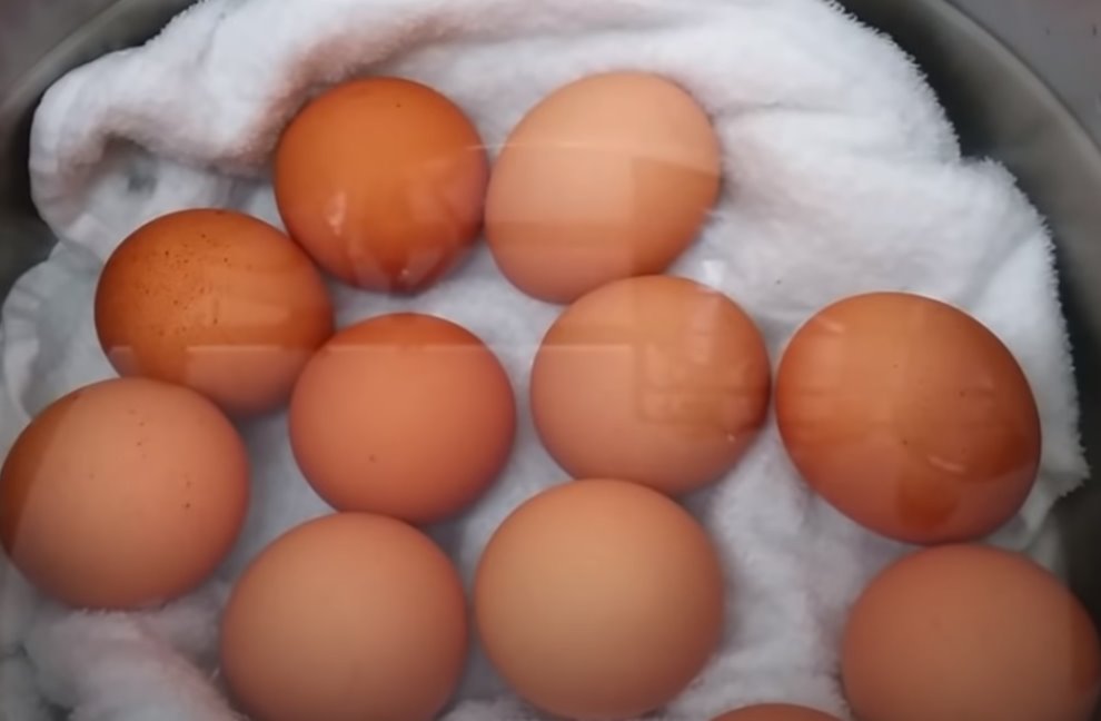 Danska dijeta i njeni benefiti