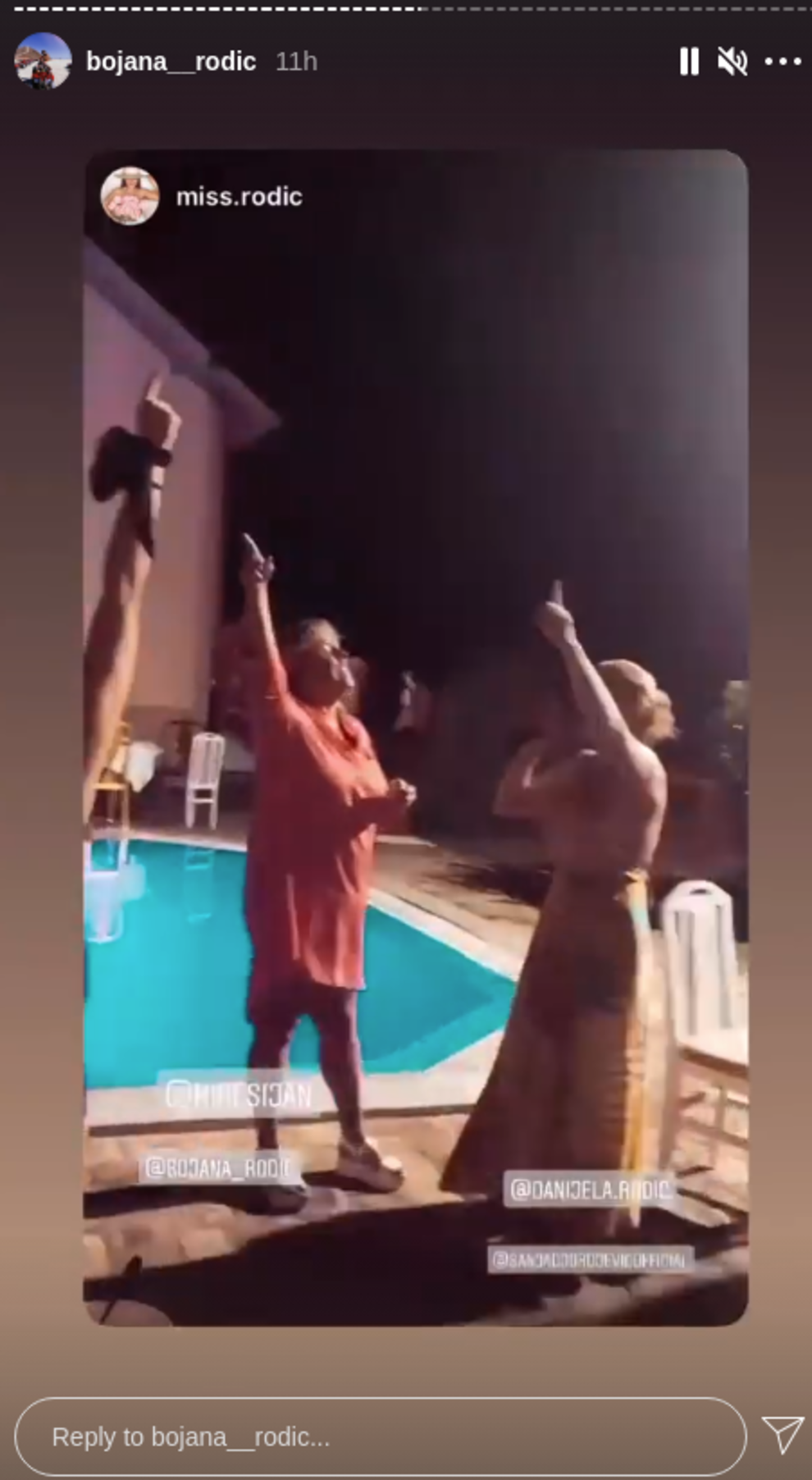 Veljko Ražnatović otišao s Šijanove proslave nakon pola sata