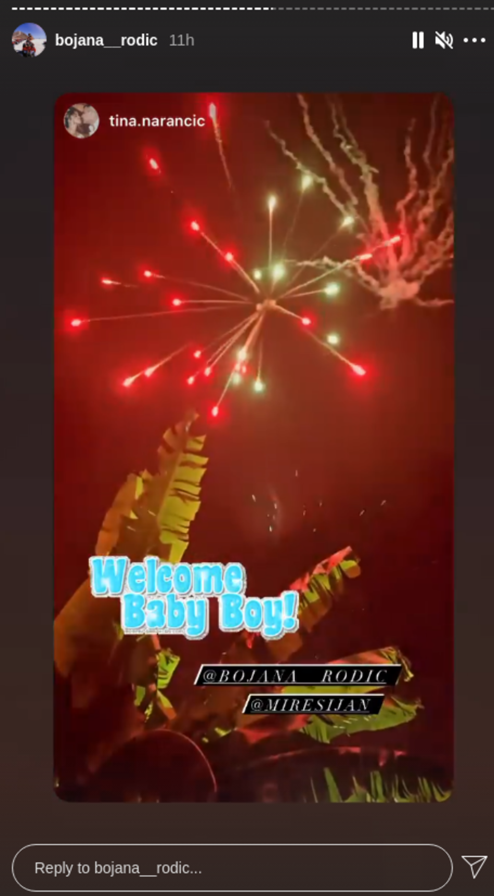 Veljko Ražnatović otišao s Šijanove proslave nakon pola sata