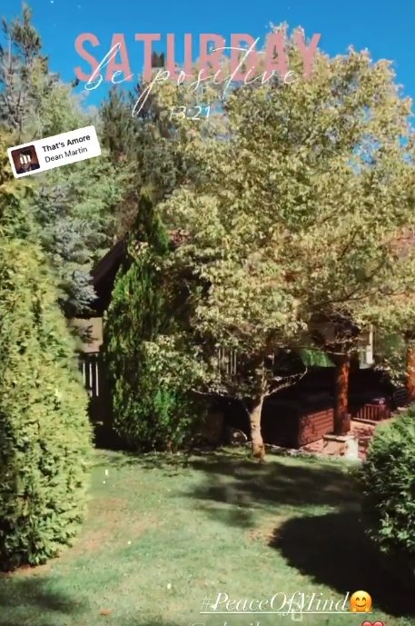 bogdan srejovic zlatibor 4