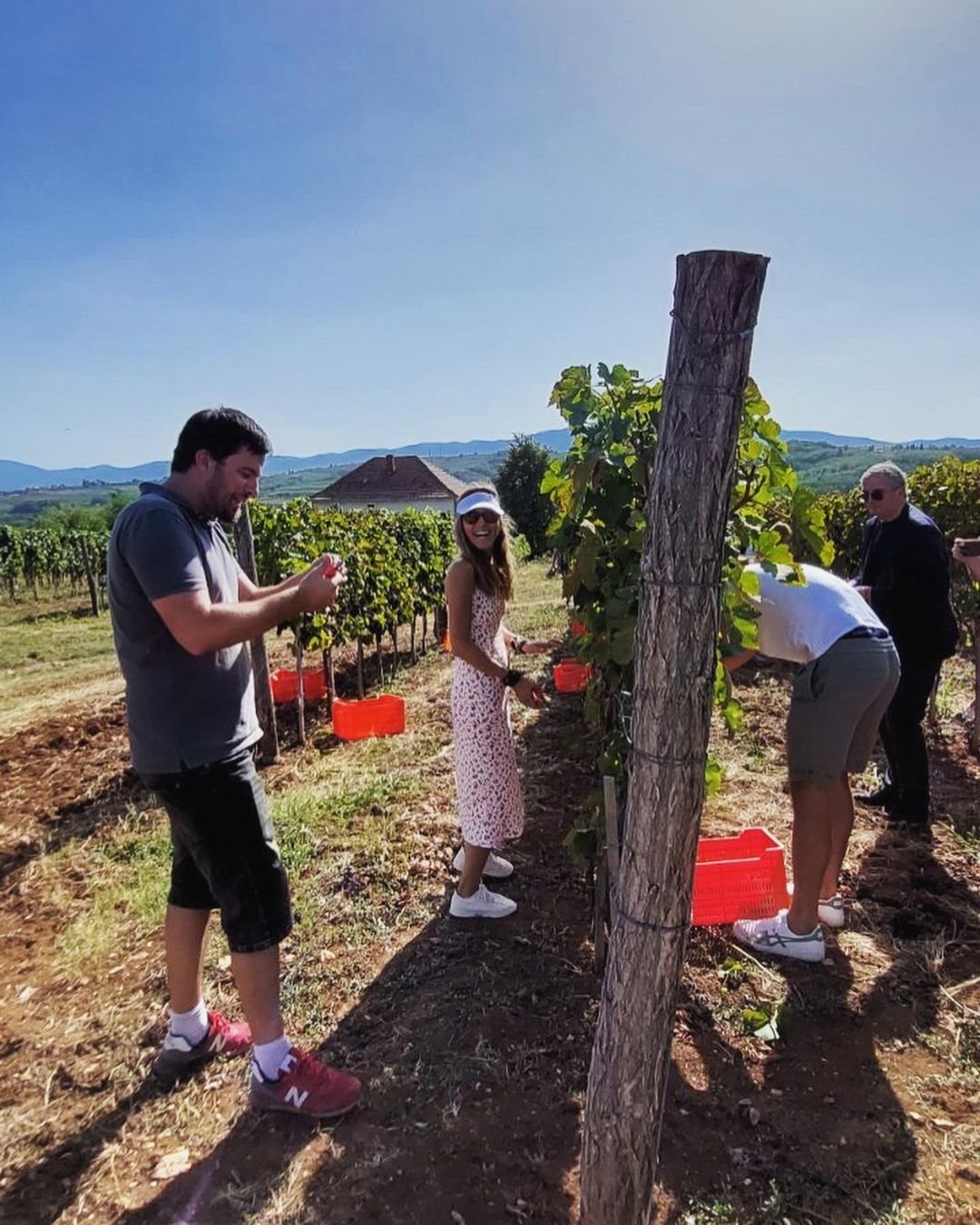 novak djokovic jelena beru grozdje