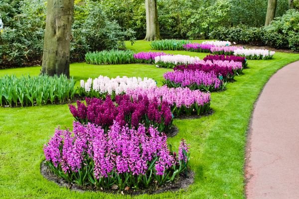 Mali leksikon baštovanstva