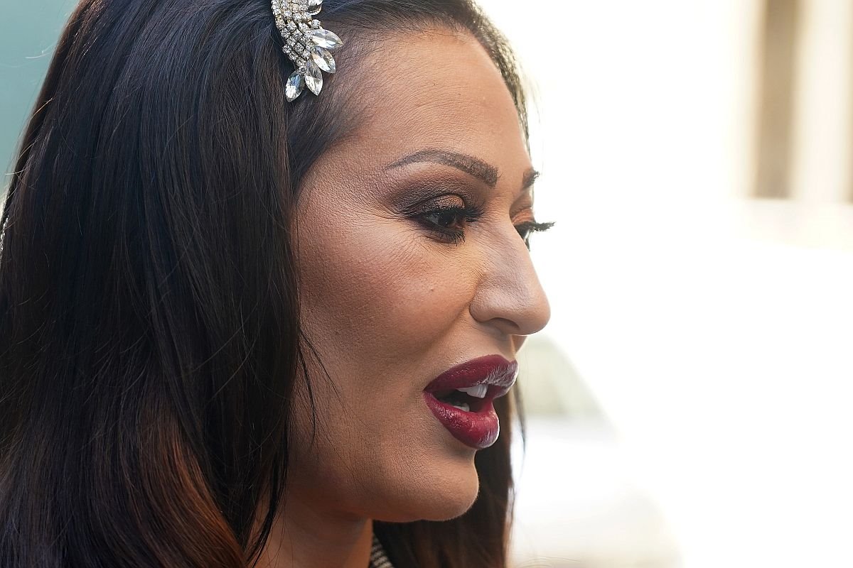 ceca sivo odelo 3.jpg