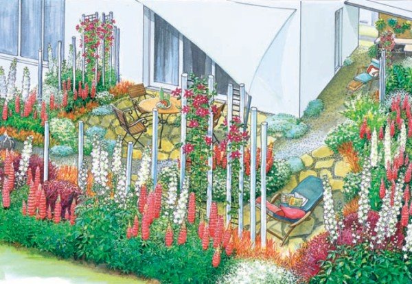 Crvena i bela magija u bašti