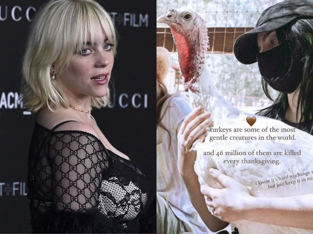 bili ajlis 0641987671.jpg