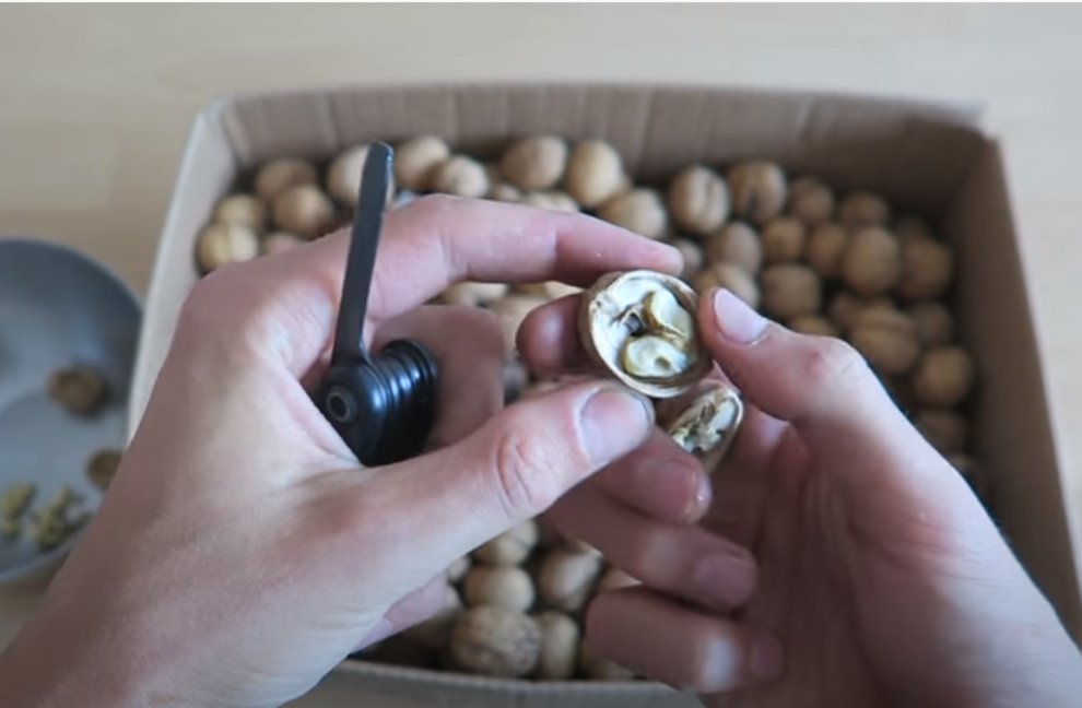 Kako lako očistiti orahe