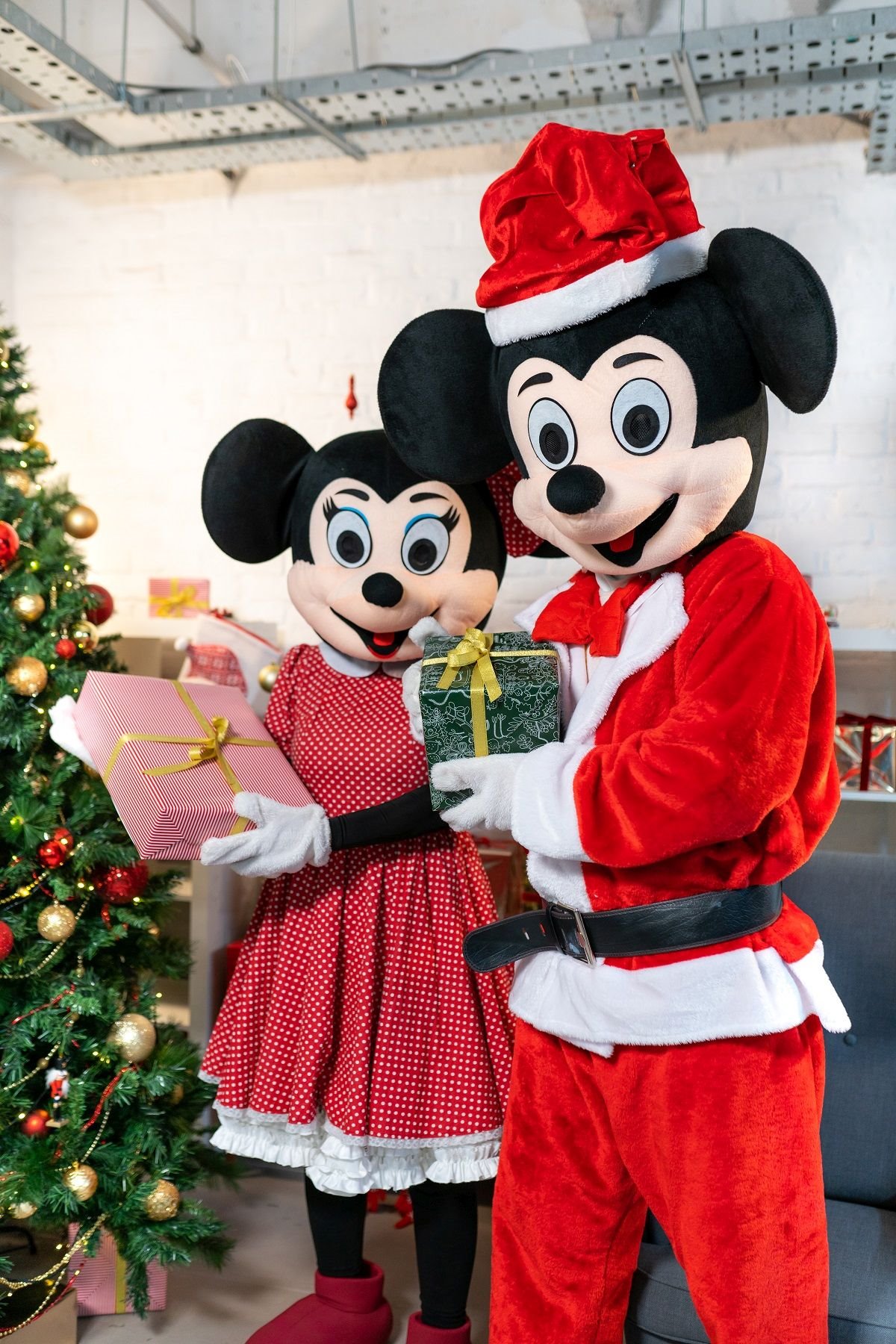 starogradska zima miki i mini maus