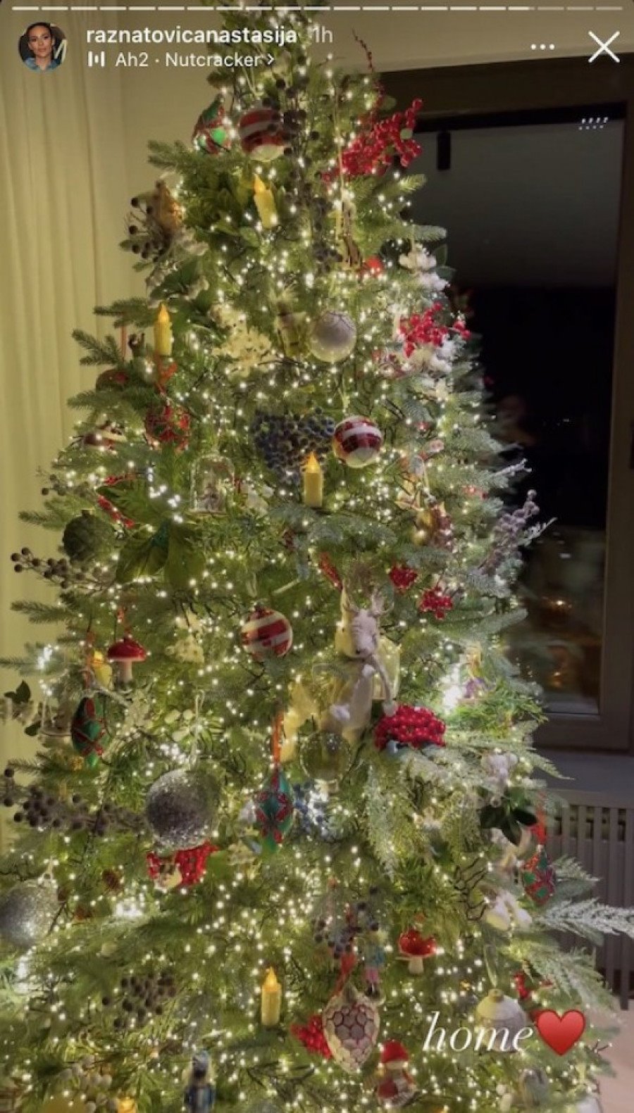 Jelka Anastasije Ražnatović