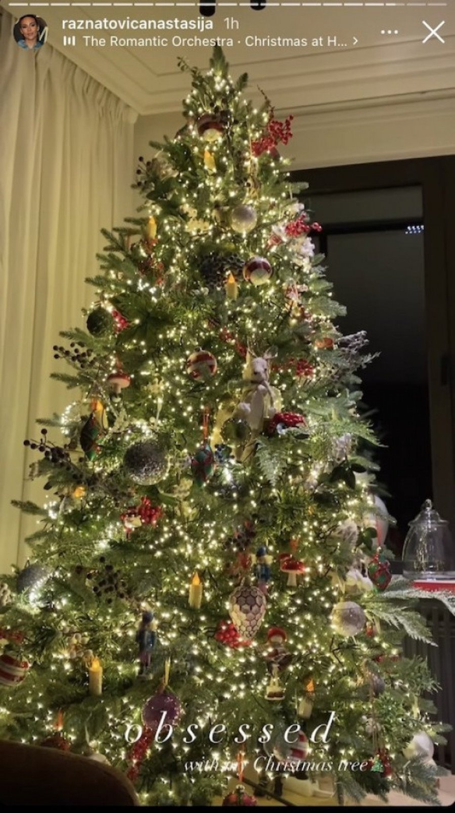 Jelka Anastasije Ražnatović