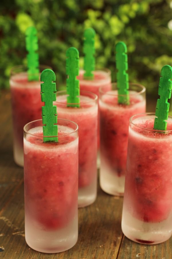 Mali rečnik ledenih poslastica