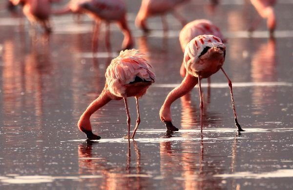 Sardinija, dragulj Mediterana