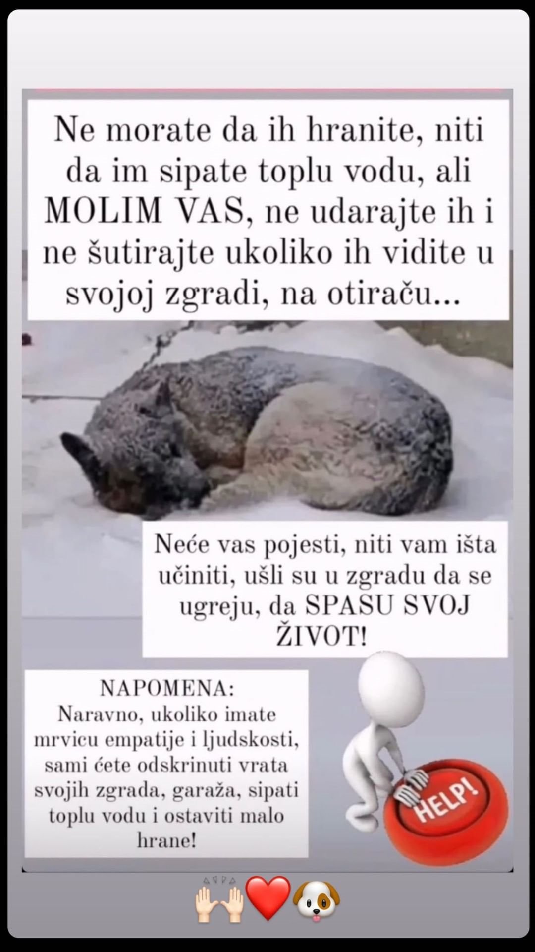 bogdan srejovic uputio apel za pse tokom zime