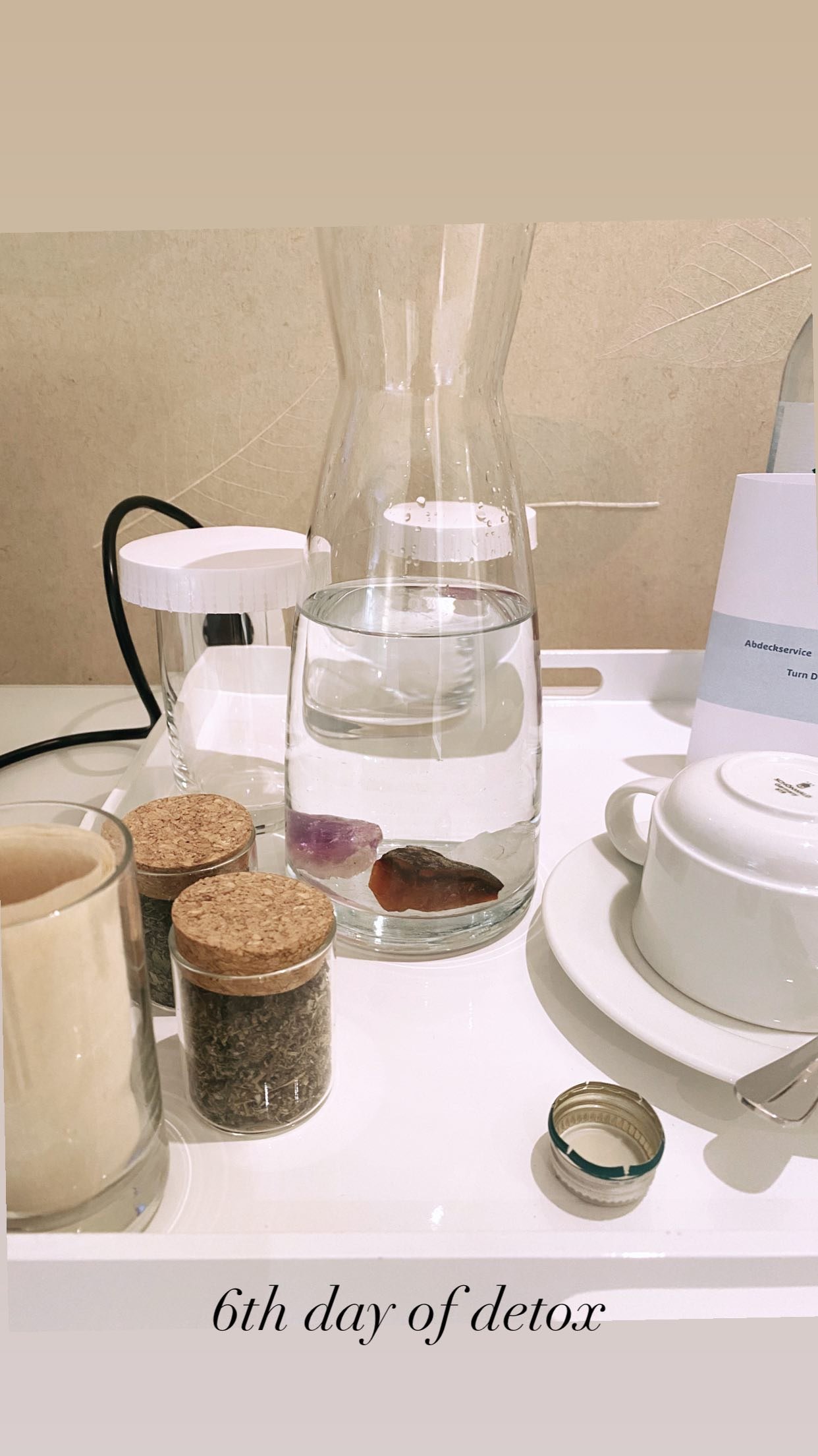 emina jahovic na detoksu