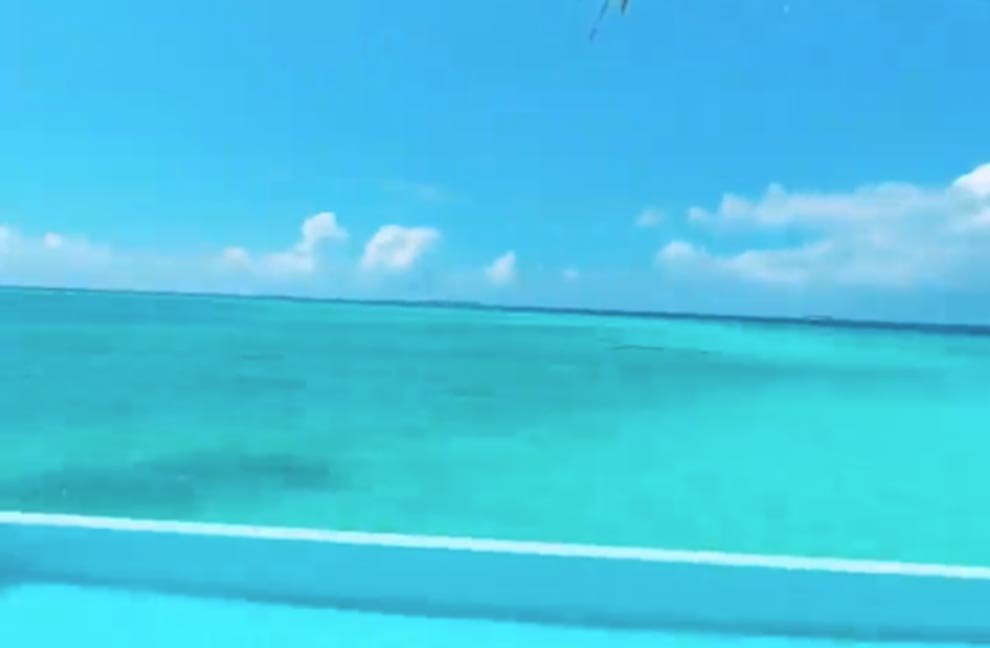 Ceca Ražnatović u kupaćem kostimu