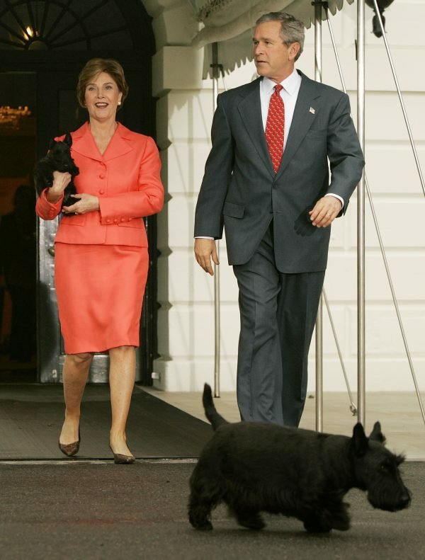 Svi predsednički psi