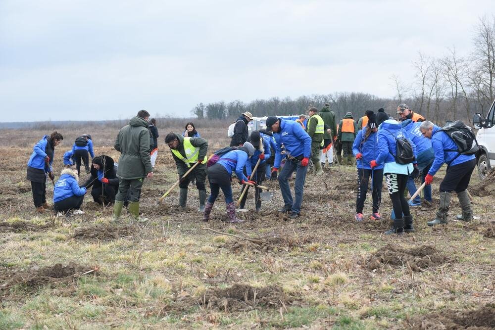 Treća sezona projekta Zasadi drvo