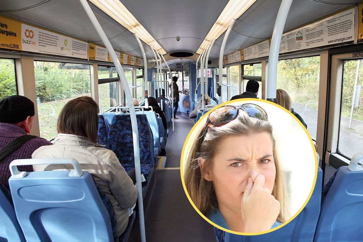 gasovi 0147547898 0528533261.jpg