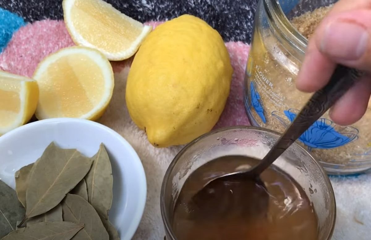 Sirup od lovorovog lista protiv kašlja