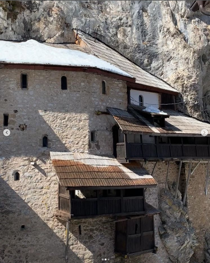 milan stankovic-01.png